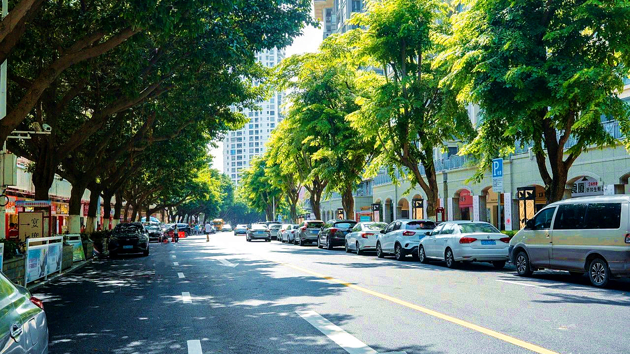 樣板區(qū)域道路提升受好評(píng) (3).jpg